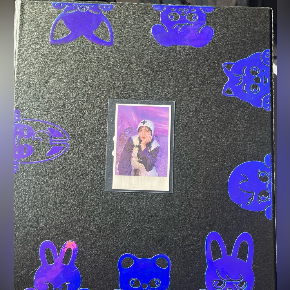 Stray Kids I.N. PC